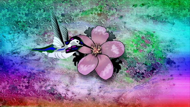 humming bird Flower rainbow
