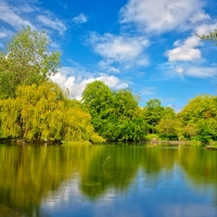 St. Stephen's Green - HDR