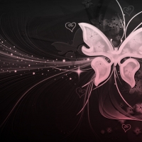 black, white,pink butterfly with hearts