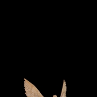 Icarus  Cell Phone Wallpaper